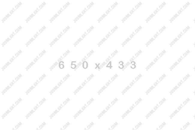 Pellentesque odio dapibus